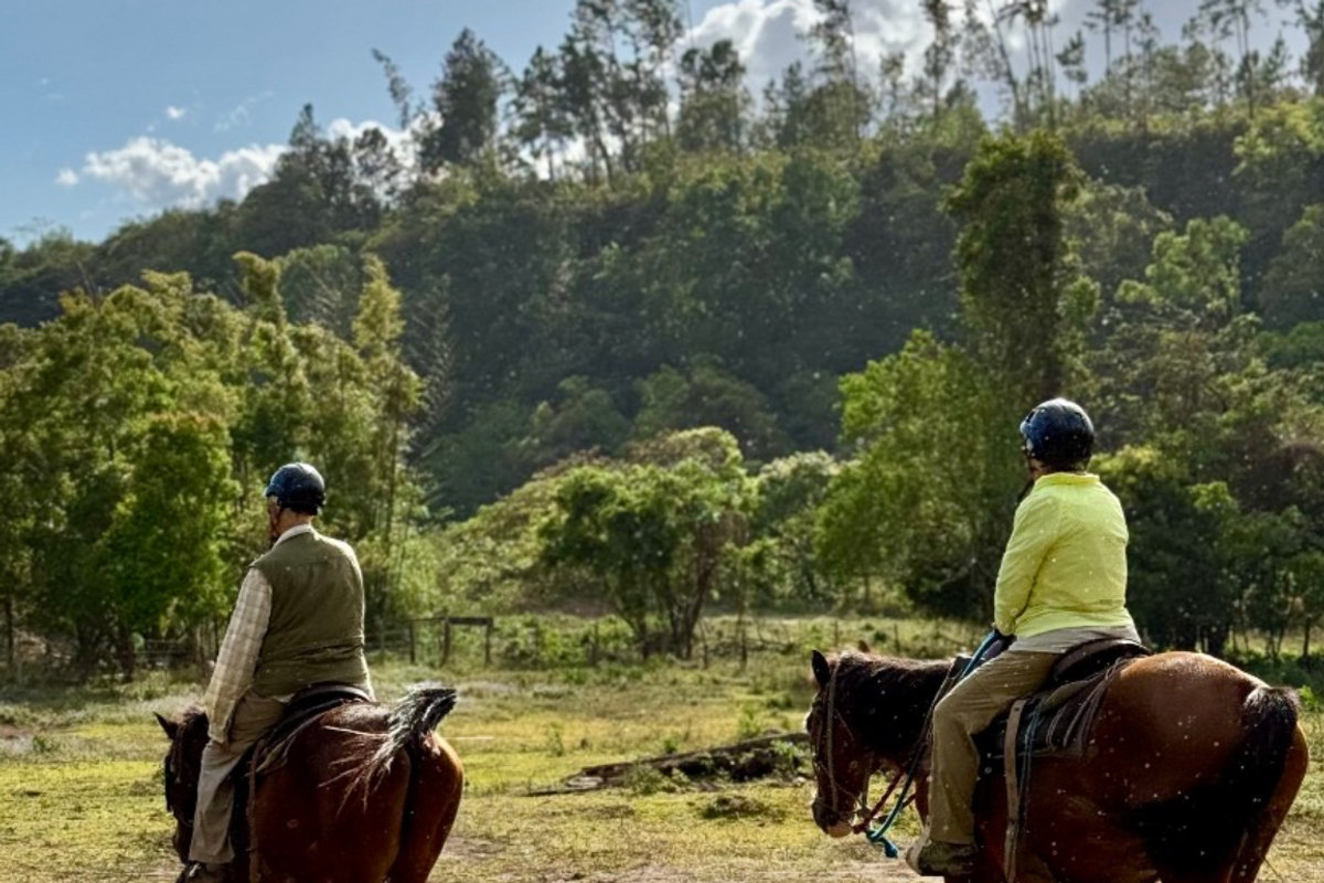 Cabalgata por senderos naturales en las montañas de Boquete
